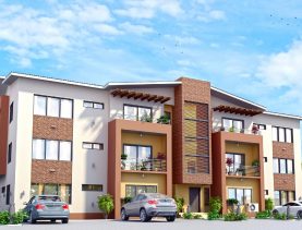 olive garden estate picture galleries