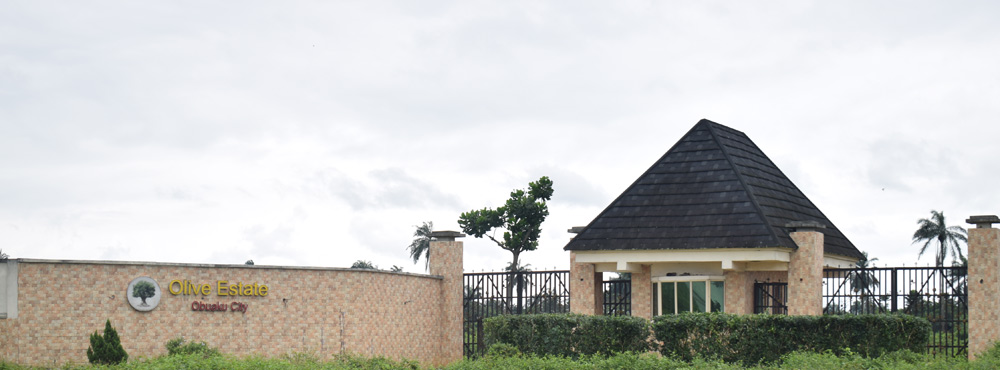 olive garden estate picture galleries